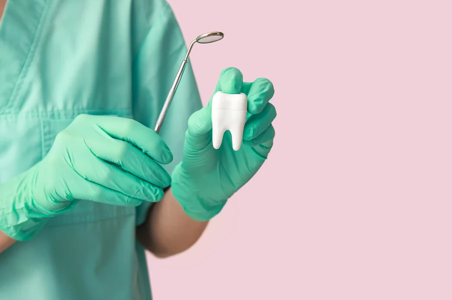 lake-worth-dentist-tooth-model-consultation